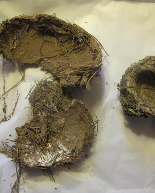 Dio Installation Schaden