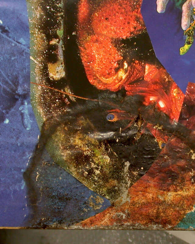 Isa Genzken Installation Schaden