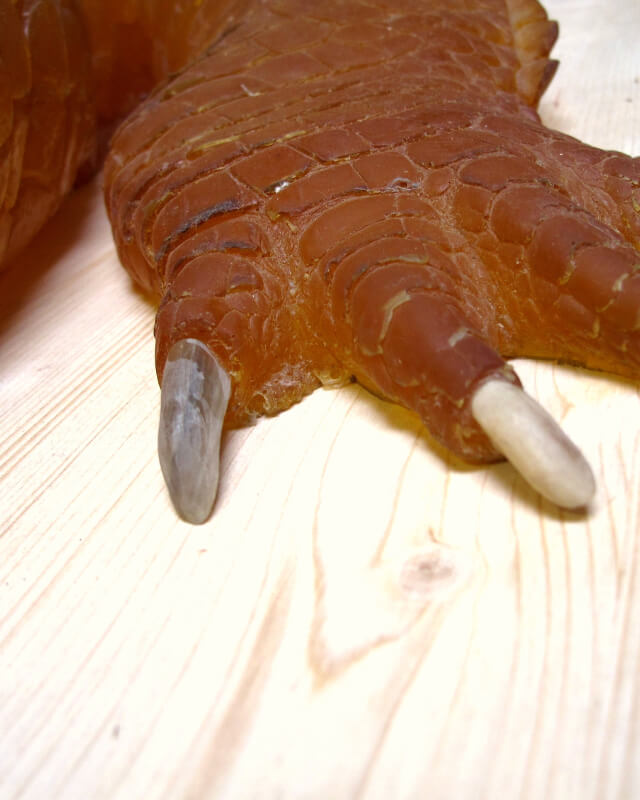 Hoeller, fehlender Nagel